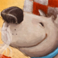 chef, spagetti and meatballs, tomato sauce, pasta, cooking, Nina Mata illustrations